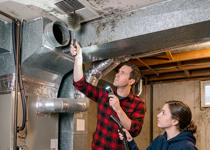 Premier HVAC Mold Remediation Company in Richardson